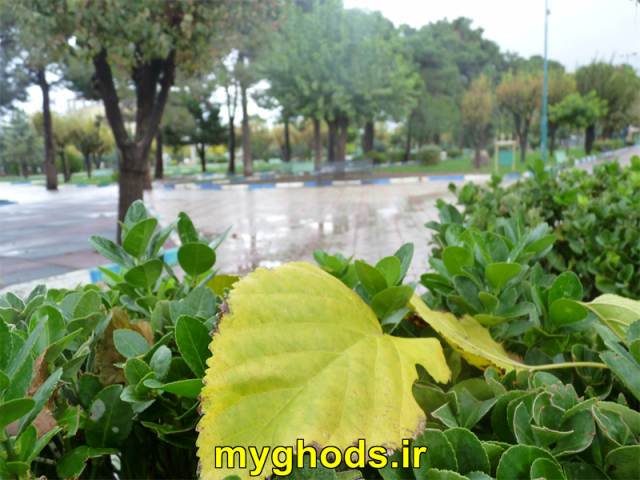 عکسهای زیبای شهرقدس