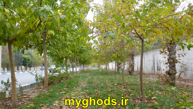 عکسهای زیبای شهرقدس