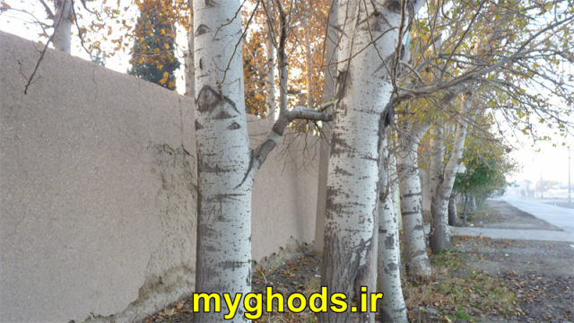 عکسهای زیبای شهرقدس