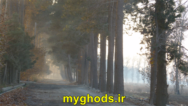 عکسهای زیبای شهرقدس
