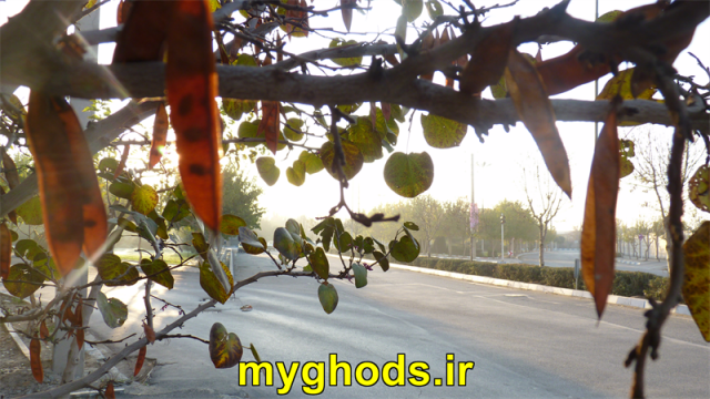 عکسهای زیبای شهرقدس
