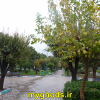 عکسهای زیبای شهرقدس