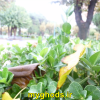 عکسهای زیبای شهرقدس