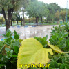 عکسهای زیبای شهرقدس