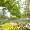 عکسهای زیبای شهرقدس