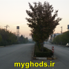 عکسهای زیبای شهرقدس