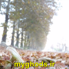 عکسهای زیبای شهرقدس