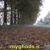 عکسهای زیبای شهرقدس