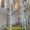 عکسهای زیبای شهرقدس