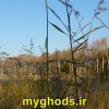 عکسهای زیبای شهرقدس