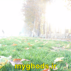 عکسهای زیبای شهرقدس