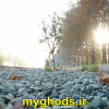 عکسهای زیبای شهرقدس