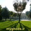عکسهای زیبای شهرقدس